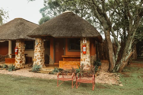 Amphitheatre Backpackers Lodge Ostello in KwaZulu-Natal