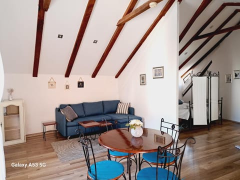 Studio apartman u renesansnoj vili Apartment in Vis
