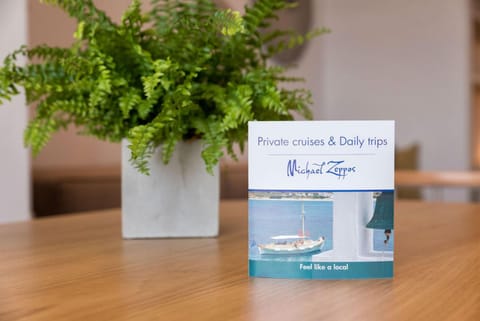 MICHAEL ZEPPOS STUDIOS NAOUSA Apartment in Naousa