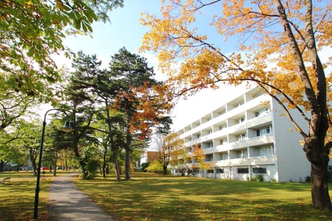 Property building, Garden