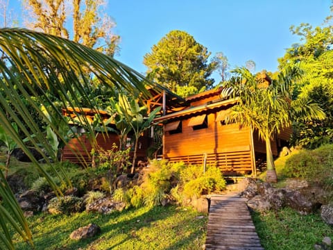Les Bananes Vertes Nature lodge in Guadeloupe