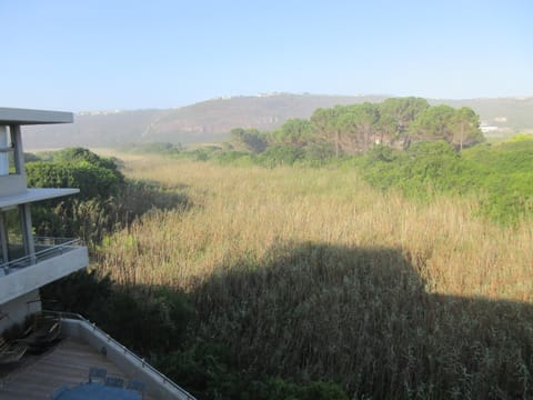 Balcony/Terrace, Landmark view