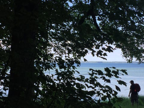 Neighbourhood, Natural landscape, Beach