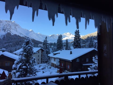 Garden view, Mountain view