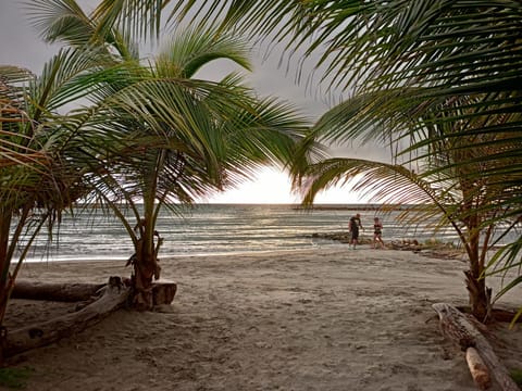 Natural landscape, Beach, Sea view, Sunset