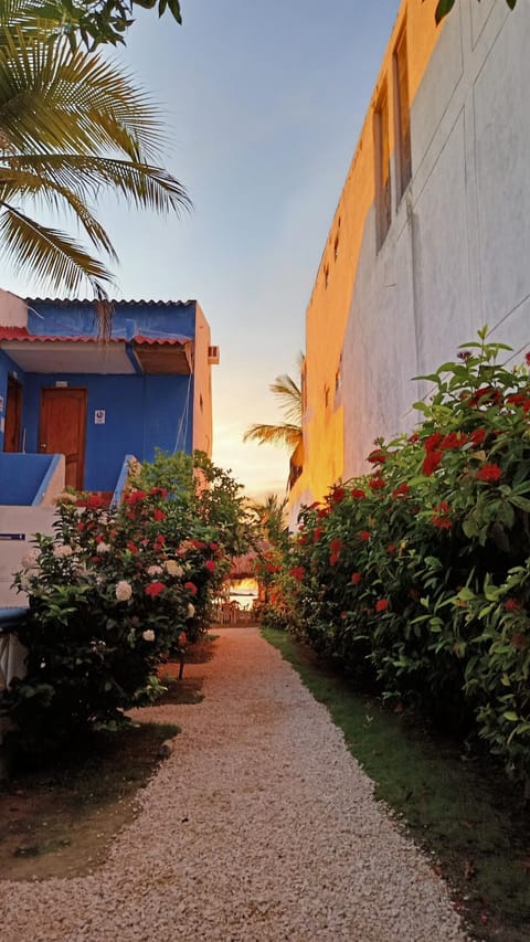 Inner courtyard view