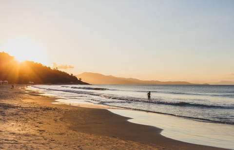 Natural landscape, Beach, Sunset