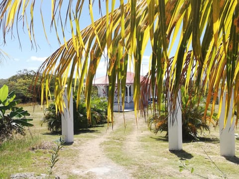 Fleur d'Hibiscus House in Marie-Galante