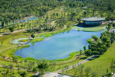 Spring, Day, Bird's eye view, Lake view