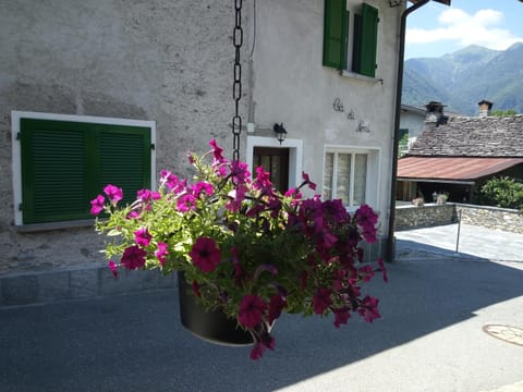 Facade/entrance, Mountain view