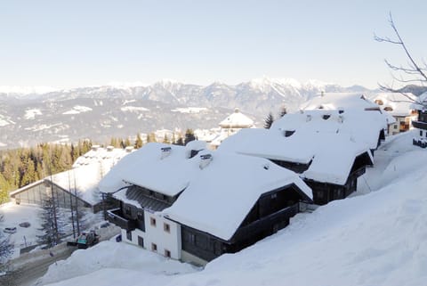 Winter, Ski School, Skiing, On site, Area and facilities, Family