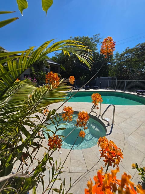 Day, Garden, Garden view, Pool view, Swimming pool, sunbed