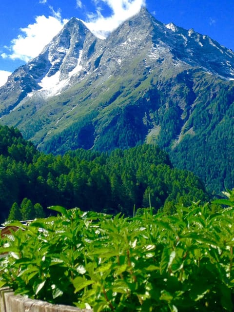 Balcony/Terrace, Mountain view