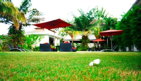Palm Grove Resort, Pattaya Resort in Pattaya City