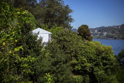 Quinta da Agraceira Casa do Caseiro House in Porto District