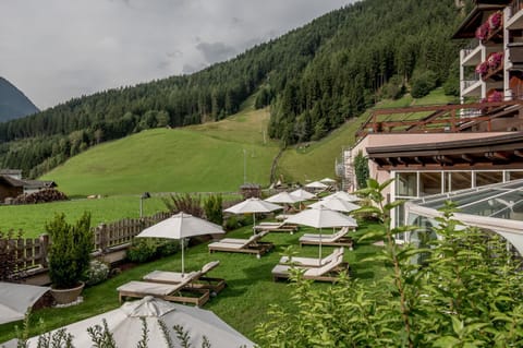 Garden, Mountain view