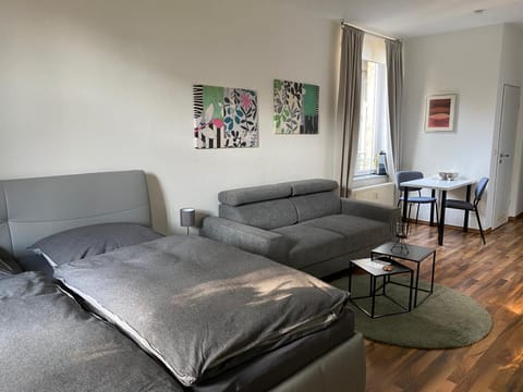 Zentrale Ferienwohnung mit Balkon in Aachen Apartment in Aachen