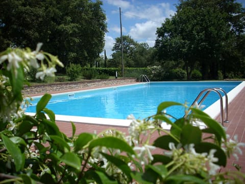 Swimming pool, Swimming pool