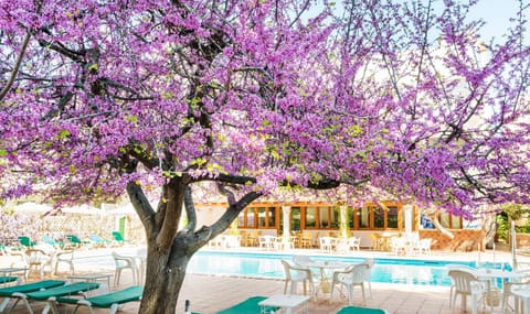 Hotel Gaya Hotel in Serra de Tramuntana