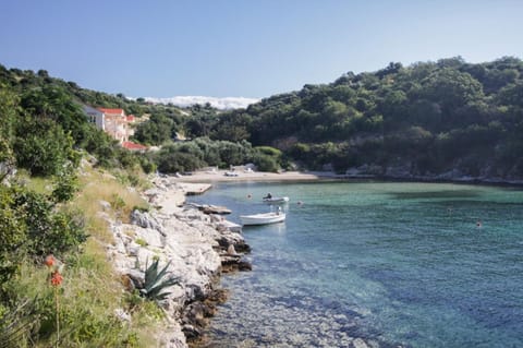 Neighbourhood, Natural landscape, Beach