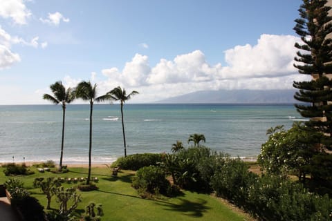 Garden, View (from property/room), Sea view