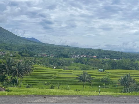Pondok Indah Homestay Bed and Breakfast in Sidemen
