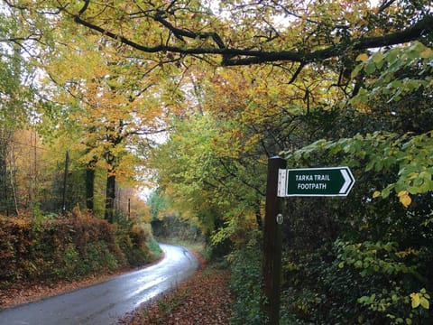 Day, Neighbourhood, Natural landscape, Autumn