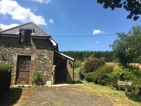 Property building, Day, Garden