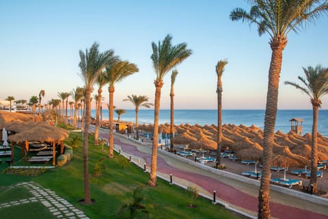 Sunrise Remal Beach Resort Resort in Sharm El-Sheikh