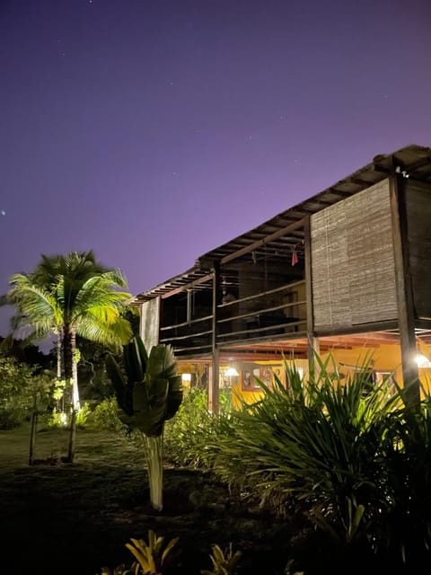 Property building, Night, Garden view