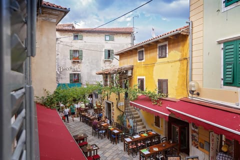 City view, Street view
