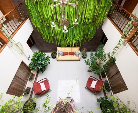 Garden, Balcony/Terrace, Garden view