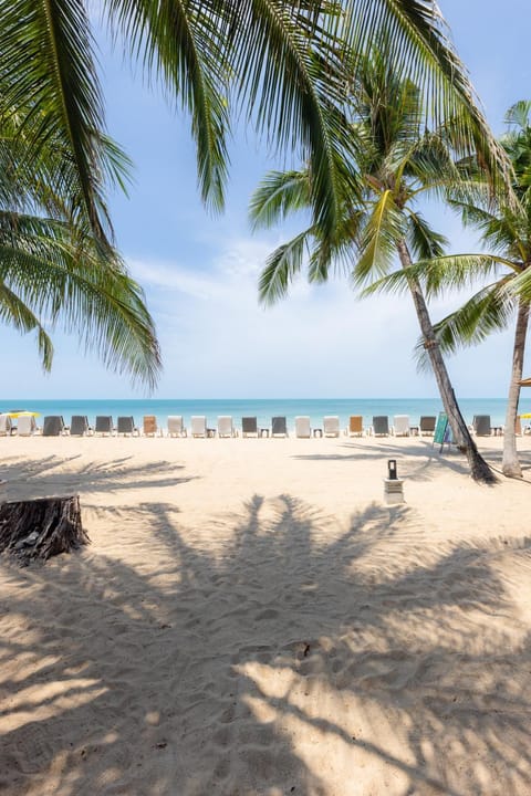 Day, Natural landscape, Beach, Sea view, sunbed