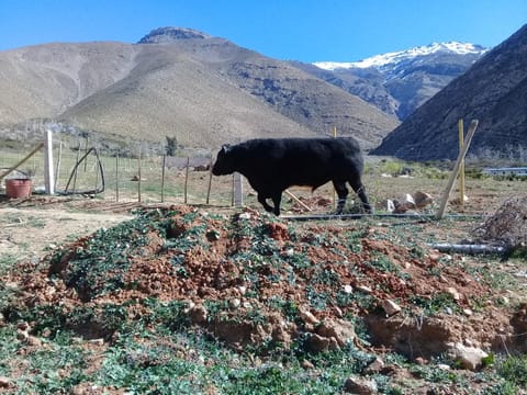 Jardin de Estrellas Nature lodge in Coquimbo Region