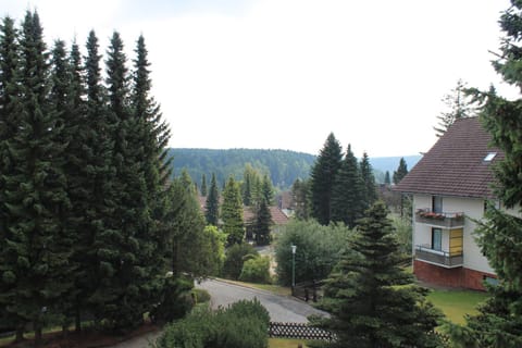 Ferienwohnungen Lübbers Apartment in Braunlage