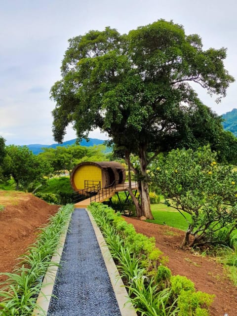 Facade/entrance, Garden