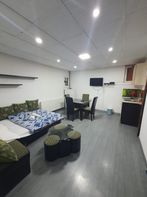 Communal lounge/ TV room, Bed, TV and multimedia, Kitchen or kitchenette, Living room, Photo of the whole room, Seating area, Dining area, Evening entertainment, Bedroom