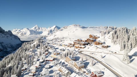 Property building, Natural landscape, Winter, Mountain view