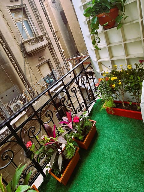 Garden, Balcony/Terrace