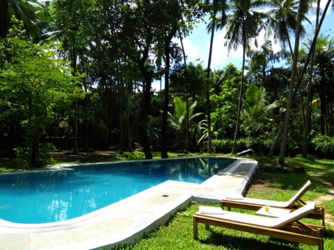 Garden, Swimming pool