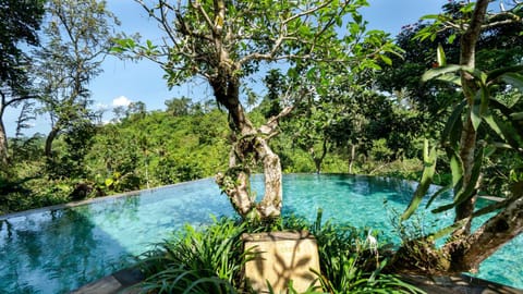 Natura Villa Ubud Bali Chalet in Ubud