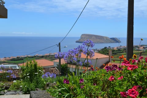 Nearby landmark, Natural landscape, Garden