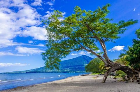 Nearby landmark, Natural landscape, Beach, Lake view