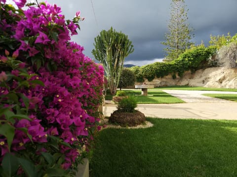 Garden, View (from property/room)