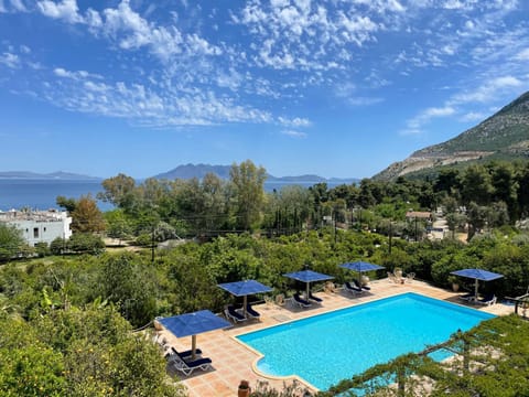 Pool view