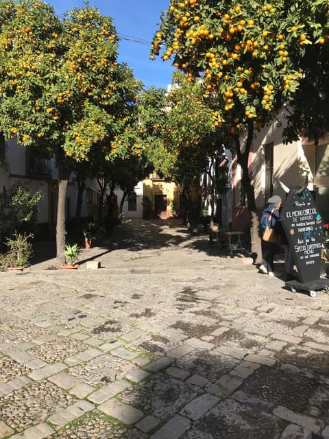 Apartamentos Flamenco B&B Bed and Breakfast in Seville