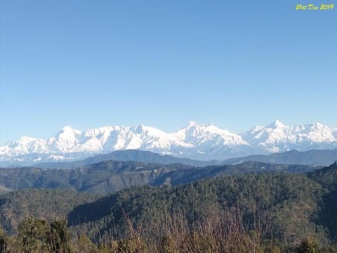 Viewtiful Homestay Apartment in Uttarakhand