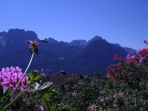 Summer, View (from property/room)