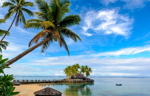 Restaurant/places to eat, Beach