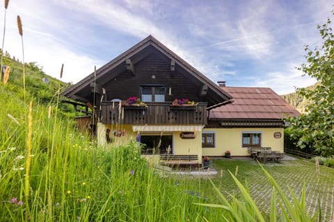 Property building, Summer